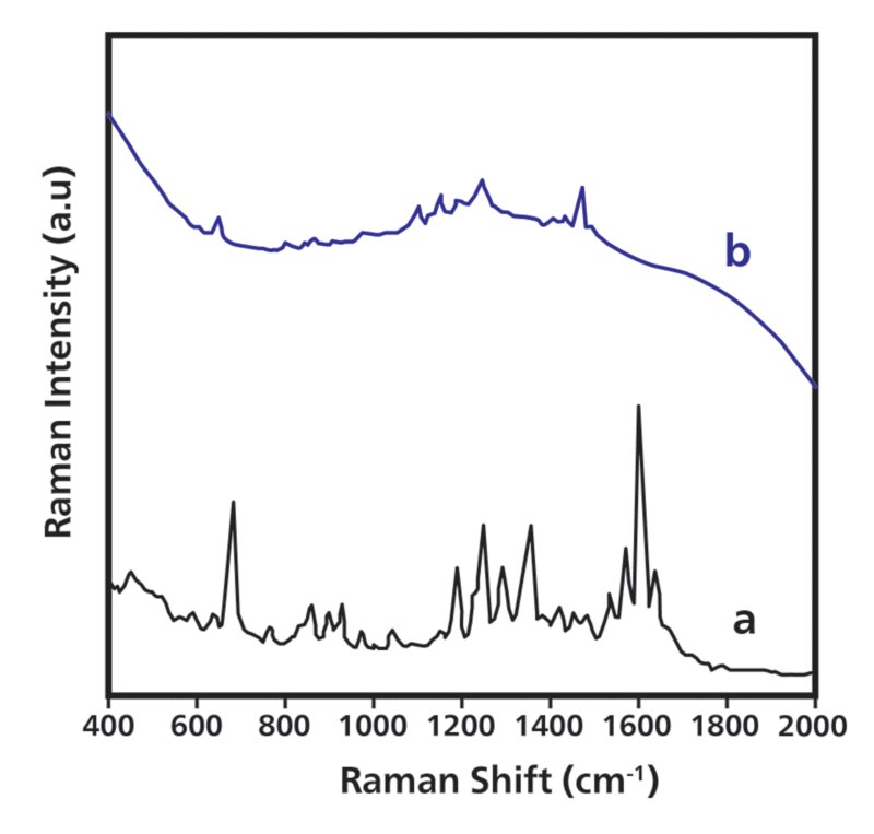 Fig2